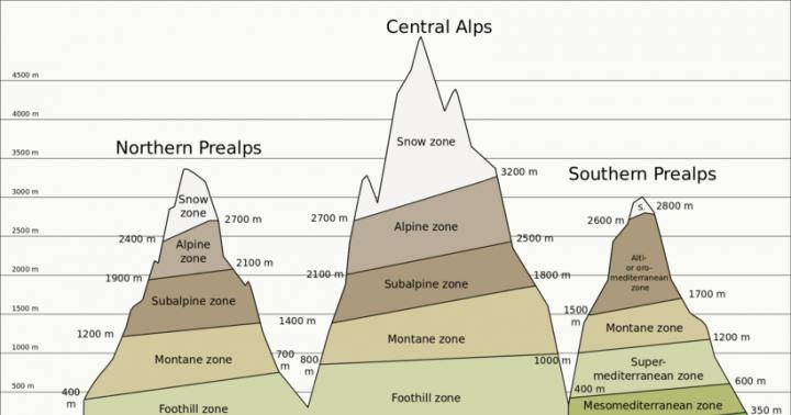 От чего зависит количество высотных поясов в горах?